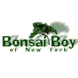 bonsai boy coupon code