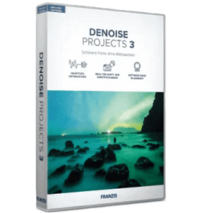 denoise projects standard