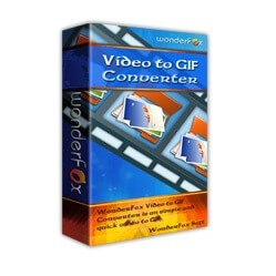wonderfox video to gif converter